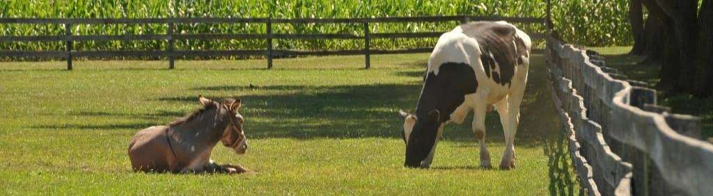 Thousand Trails Gettysburg Farm Review