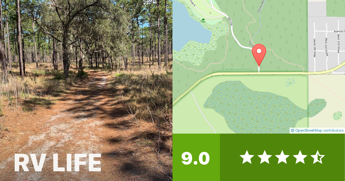 Clearwater Lake Recreation Area Paisley, Florida RV LIFE Campground