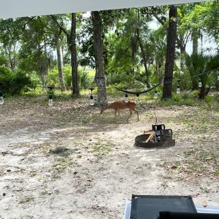 Fort McAllister State Park Richmond Hill Georgia RV LIFE