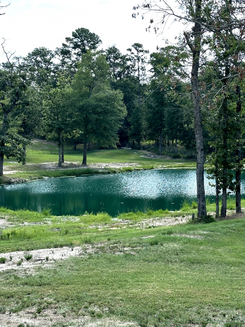 Park photo