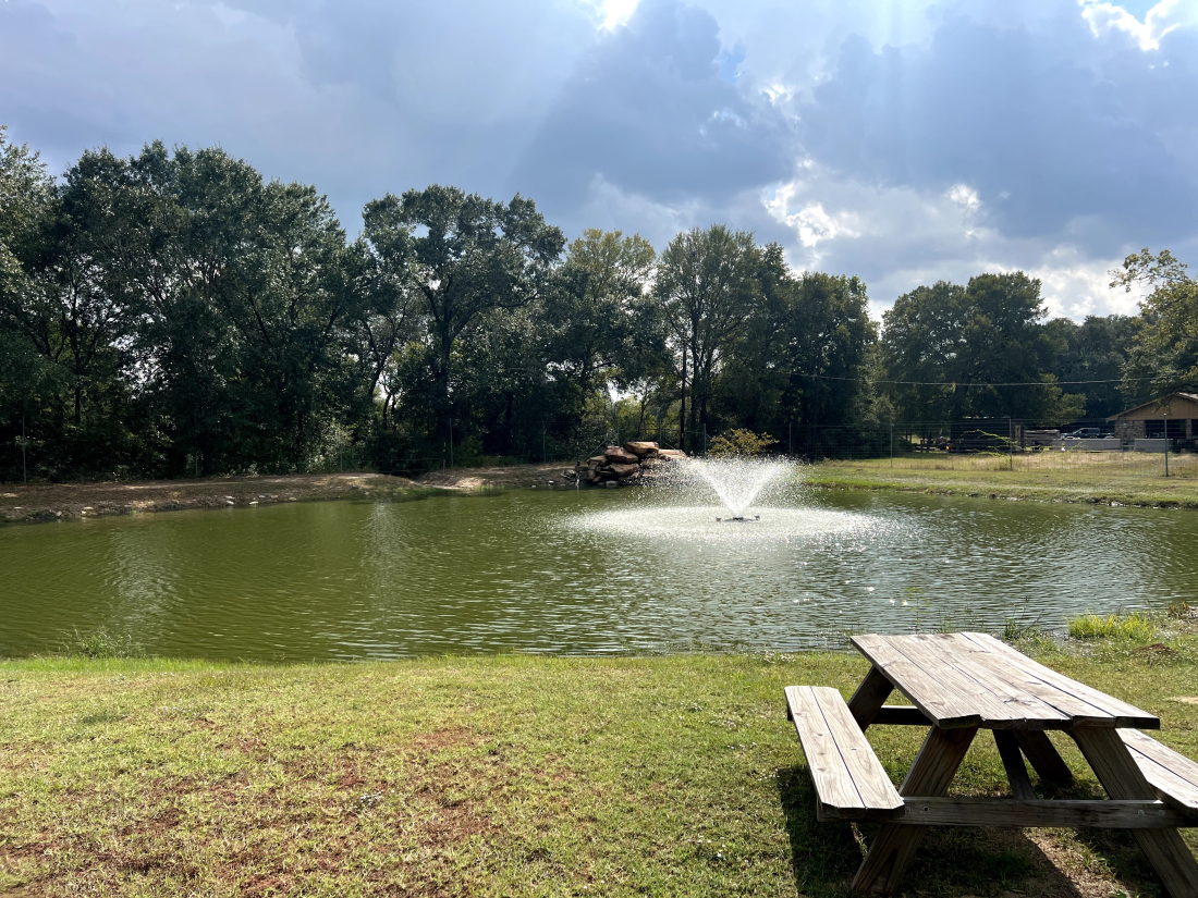 Park photo