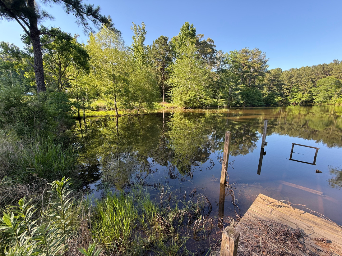 Park photo