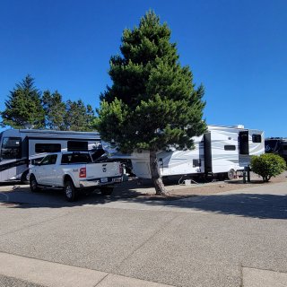 Pacific Pines RV Park & Storage - Florence, Oregon - RV LIFE Campground ...